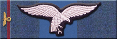 Luftwaffe Pilot Wings