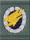 Mission Patch: Fallschirmsjaeger