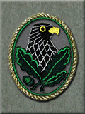 Sniper Badge, 1st class