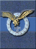Luftwaffe Combat Wings, Gold