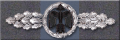Air Combat Clasp, Silver
